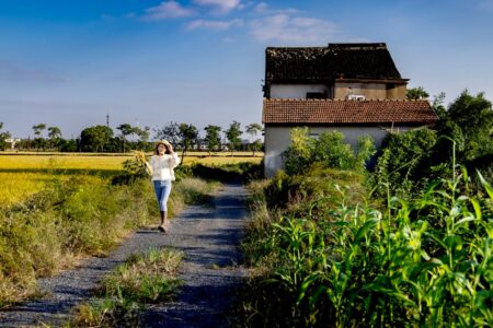 Agriculture Cover Page Design Creative and Modern Ideas