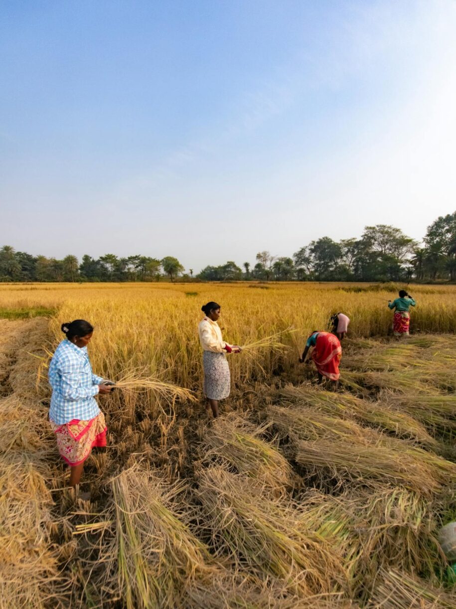 Agriculture Meaning in English for Students